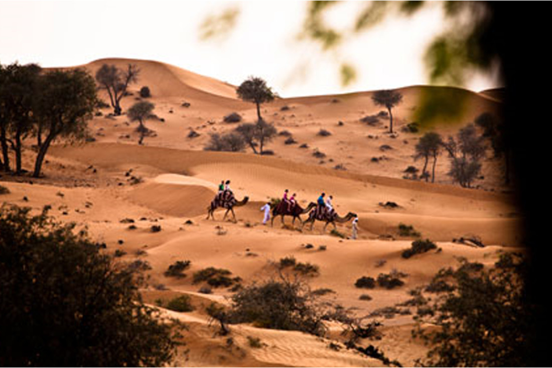 Camel Ride at Banyan Tree Al Wadi