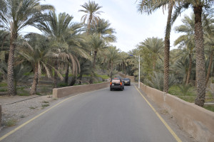 Exploring Al Buraymi, Oman 