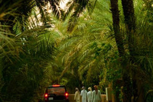 Al Khadra area in Mahda