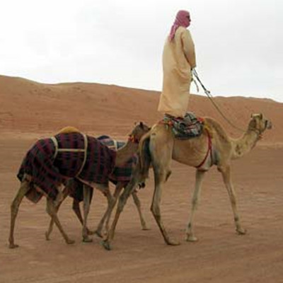 Four beaches in a day!